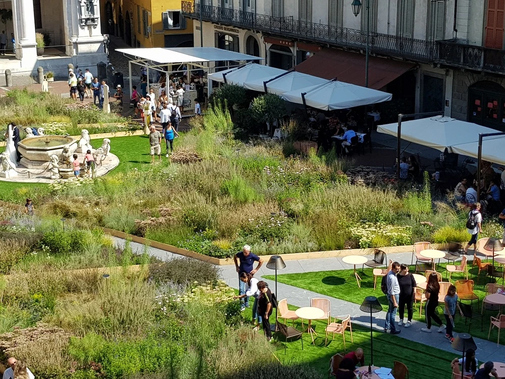 Zielona oaza na placu - ekologiczna przestrzeń miejska